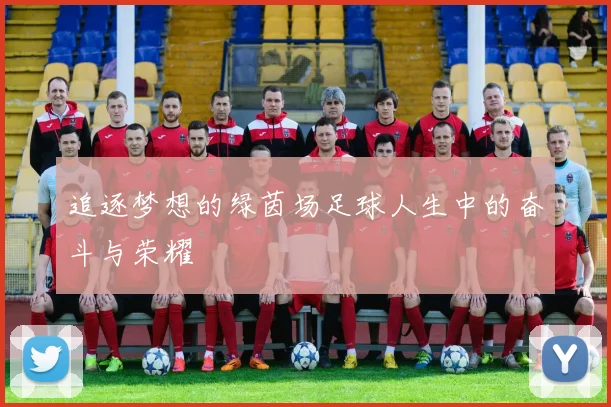 追逐梦想的绿茵场足球人生中的奋斗与荣耀